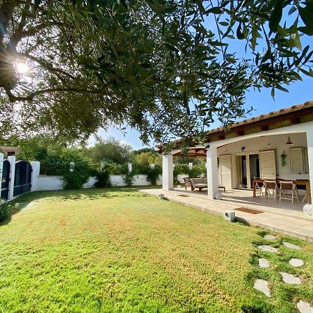 Вилла La Casa Dell Olivo Кастиадас Экстерьер фото