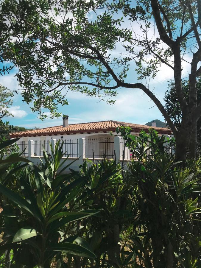 Вилла La Casa Dell Olivo Кастиадас Экстерьер фото
